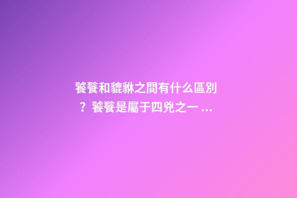 饕餮和貔貅之間有什么區別？饕餮是屬于四兇之一？